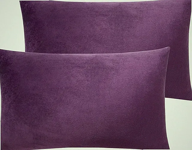 NTBAY 2 Pack Zippered Velvet Queen Pillowcases, Super Soft and Cozy Luxury Fuzzy