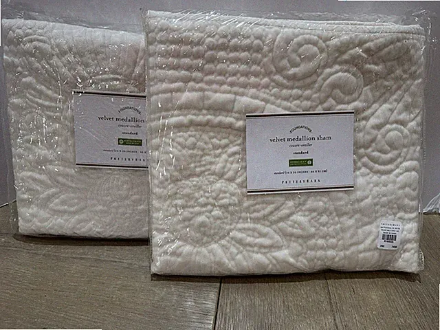 Pottery Barn Velvet Medallion standard Shams ivory 2 shams set